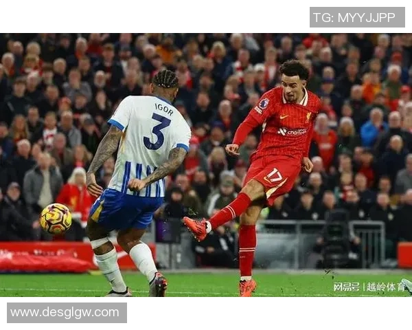 南安普顿主场迎战布赖顿双方争夺英超宝贵积分之战